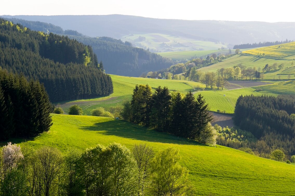 Frankenwald