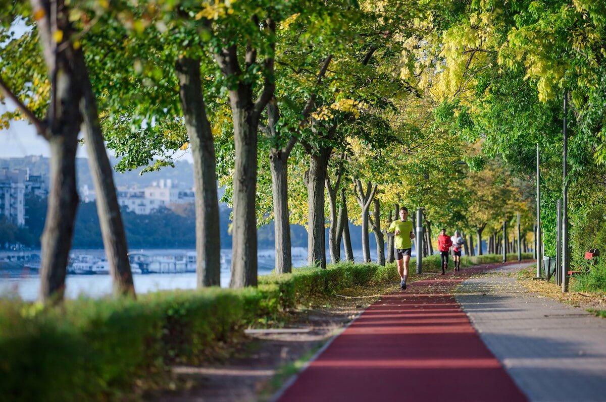 Joggingspaden op Margarethe eiland (Margitsziget) in Boedapest