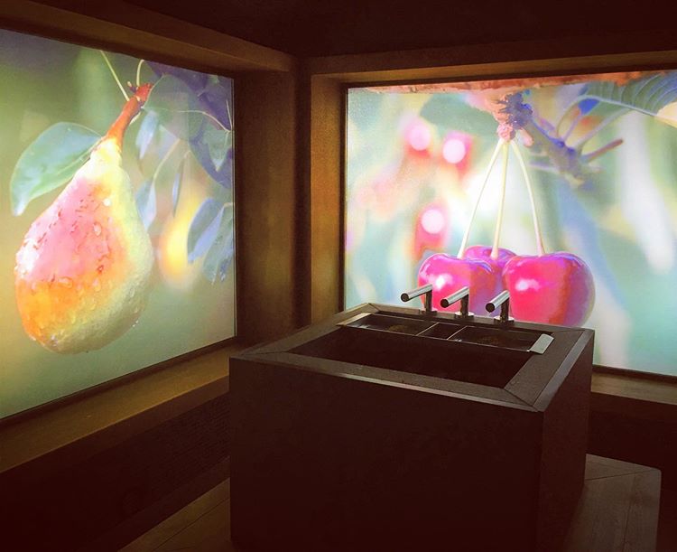 Aroma sauna in het Sloveense spa resort Terme Smarjeske Toplice.