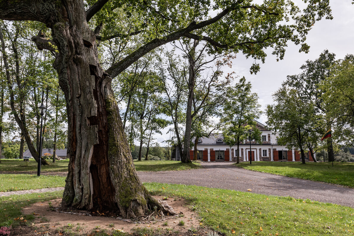 Paliesius landgoed met landhuis van lifestyle retreat Paliesius Clinic.
